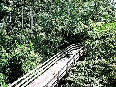 Pakaas Palafita Lodge Guayaramerim Eksteriør bilde
